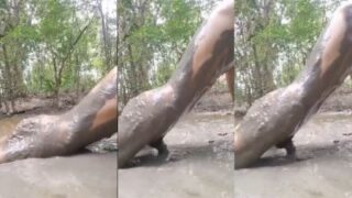 Image of Addicted Boyfriend Gets Dirty in the Mud-Linkdebhai.club